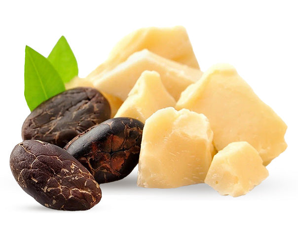 Shop By Ingredient - Cocoa Butter