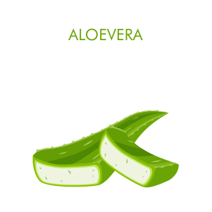 Aloe Vera – Your Skin and Hair Will Thank You