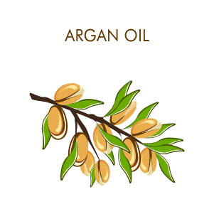 Argan – The Miracle Oil