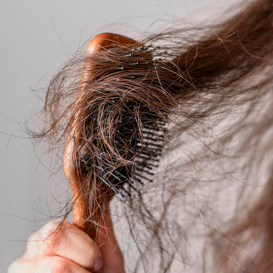 The Best Products For Dry & Damaged Hair