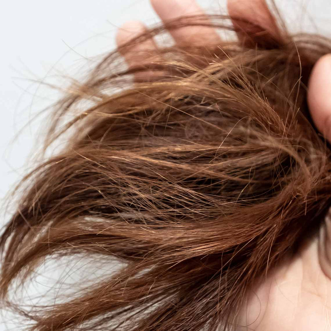 Troubled with frizzy hair? Here are the causes and treatment