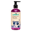 Similar product - Blueberry
