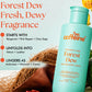 Forest Dew Nourishing Milky Body Wash - 250ml