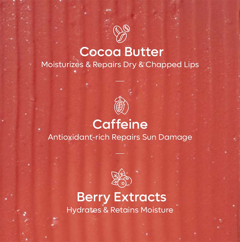 Choco Lip Balm with Berries (Pack of 2)