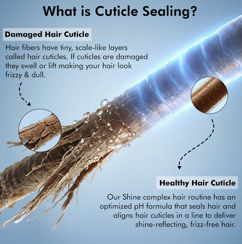 Complete Glossy Hair Routine | New Shine Complex