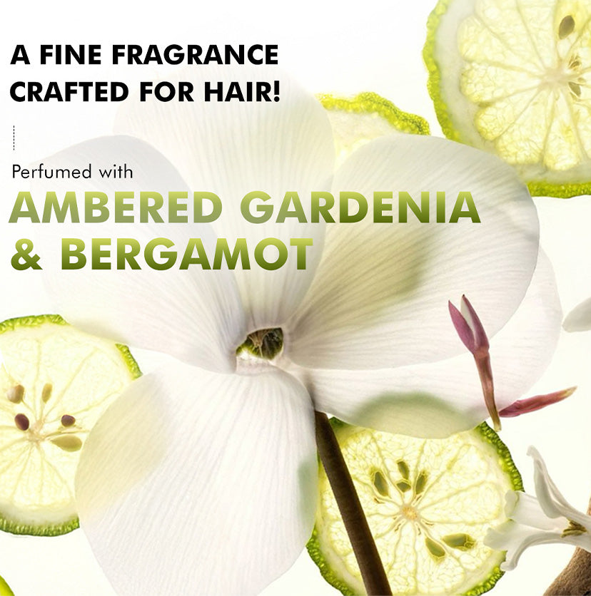 Anti-Frizz Perfume Hair Spray , 31% Shine Complex For Instant Gloss