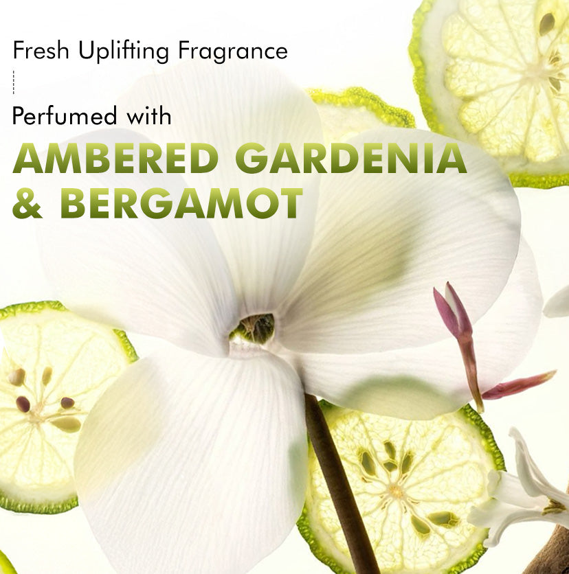 Complete Glossy Hair Routine | New Shine Complex