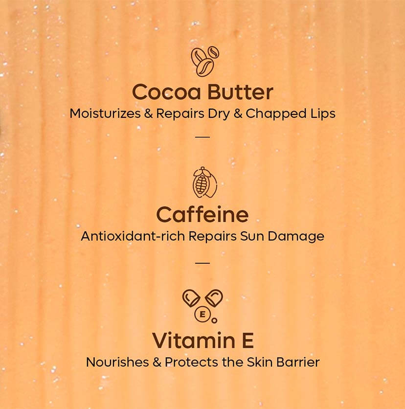 Choco Lip Balm with SPF 20+ (Pack of 2)