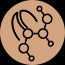 C-Complex