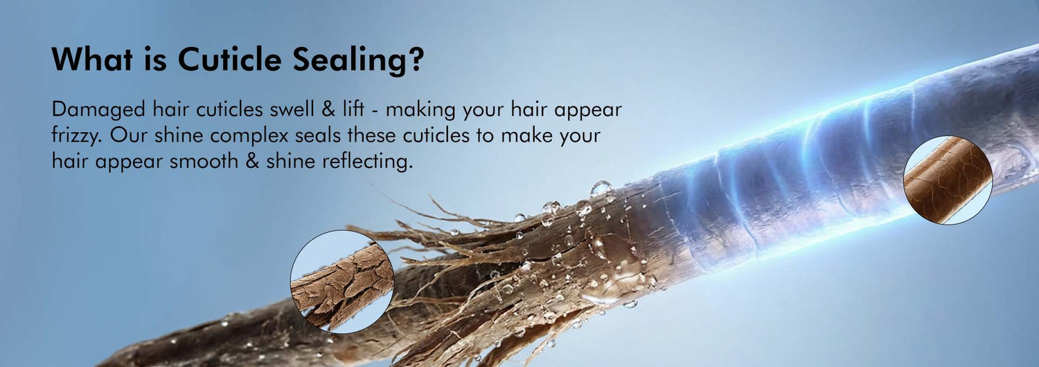 Collection - Hair care - banner