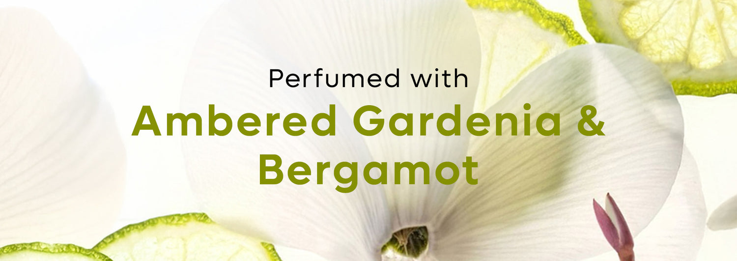 Collection - Hair care - banner