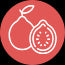 Guava Extract powerful antioxidant promotes healthy skin