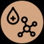 Peptide