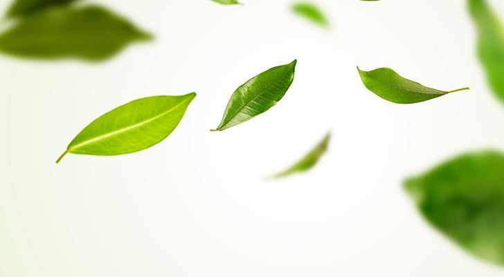 Why should you buy it? - 3