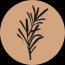 Rosemary Extract