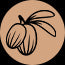 Shea Butter Deeply moisturizes & prevents dryness