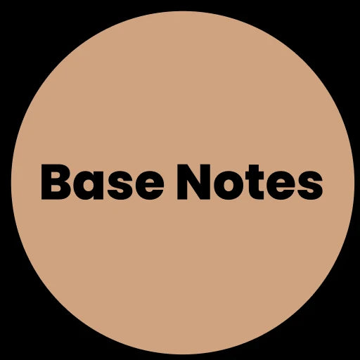 Base Notes