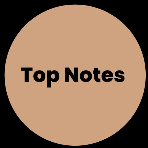 Top Notes